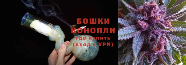 сатива Каменск-Шахтинский