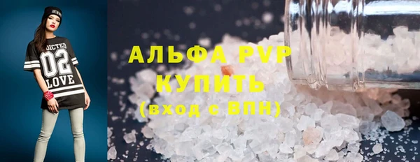 спиды Каменногорск
