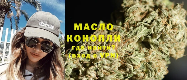 спиды Каменногорск