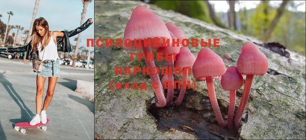 кокаин перу Каменка