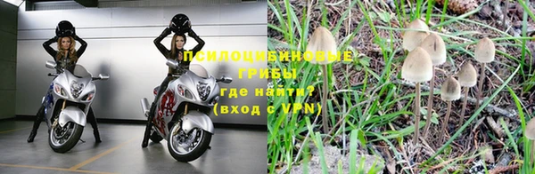 кокаин перу Каменка