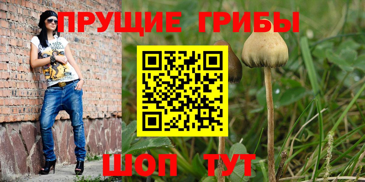 Галлюциногенные грибы MAGIC MUSHROOMS Кингисепп