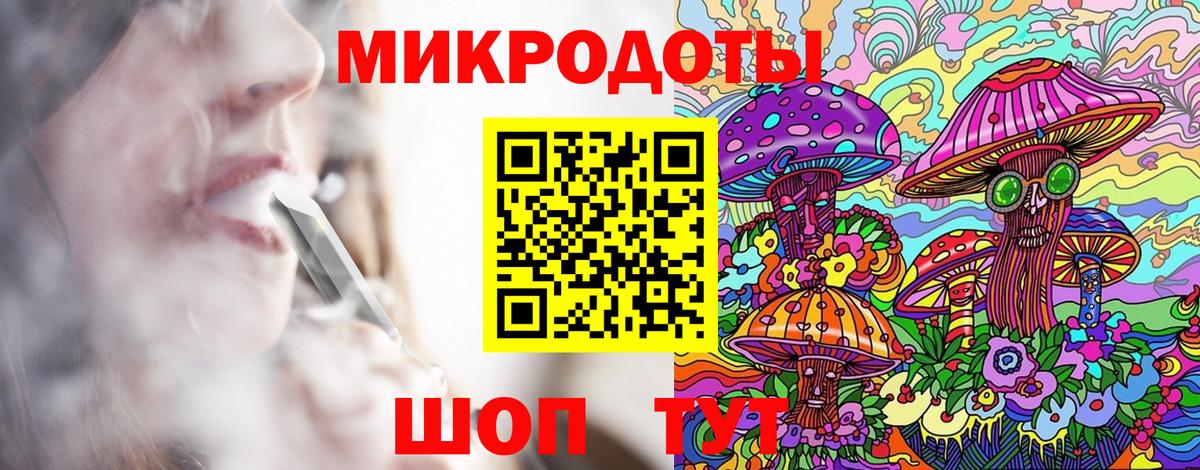 МЕФ Кингисепп