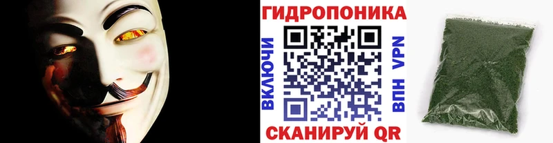 Каннабис семена  МЕГА зеркало  Кингисепп  сколько стоит 